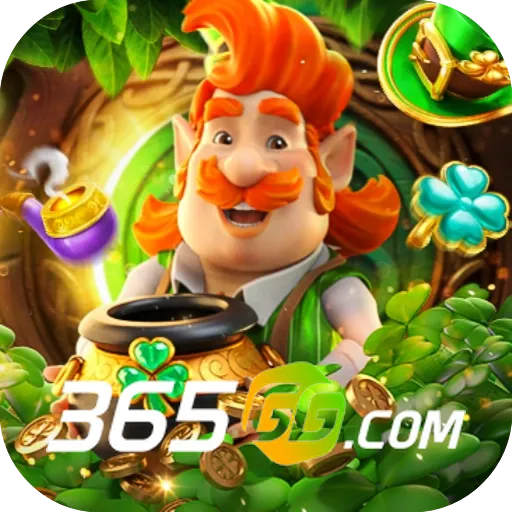365gg